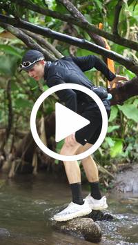 BIB:  <button type="button" onclick="openModal(27574447)" class="btn btn-primary btn-sm float-right" data-toggle="modal" data-target=".modal-high-quality">
                <i class="fa fa-download"></i> Download
                </button>